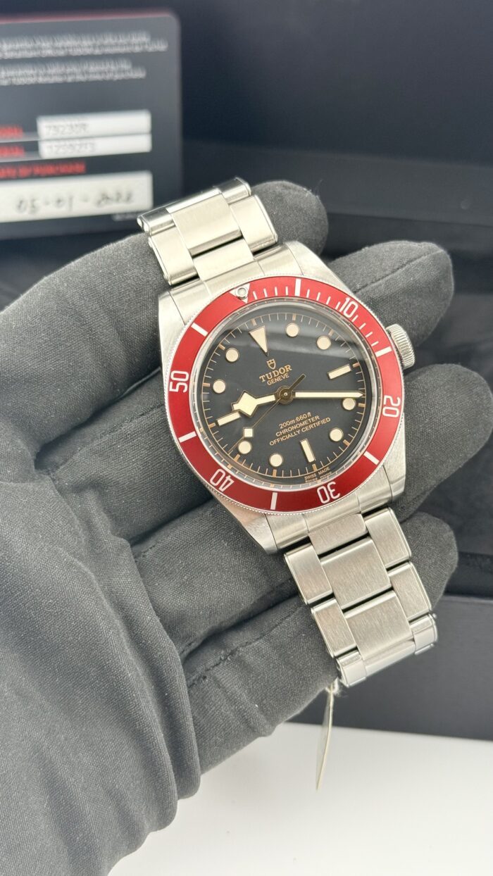 Tudor Black Bay Heritage - immagine 13