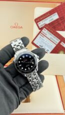 Omega Seamaster Drive