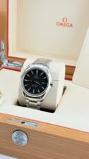 Omega Seamaster Aqua Terra   231.10.42.21.01.006