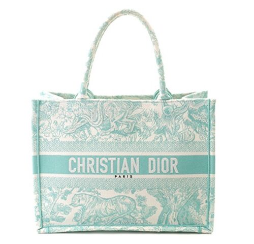 Dior Book Tote
