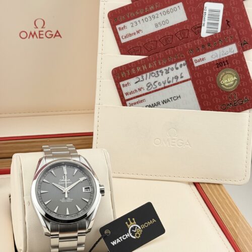 Omega Seamaster Aqua Terra 231.10.39.21.06.001