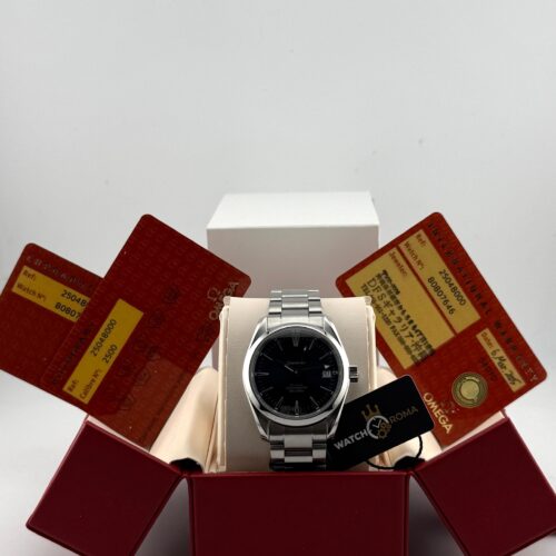 Omega Seamaster Aqua Terra Blu Co-Axial 2504.80.00