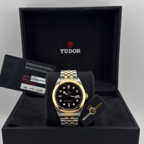 Tudor Black Bay 36 Ref. 79663